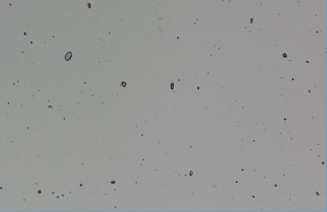 Anode layer ion source DLC surface micrograph with numerous scattered dark features.